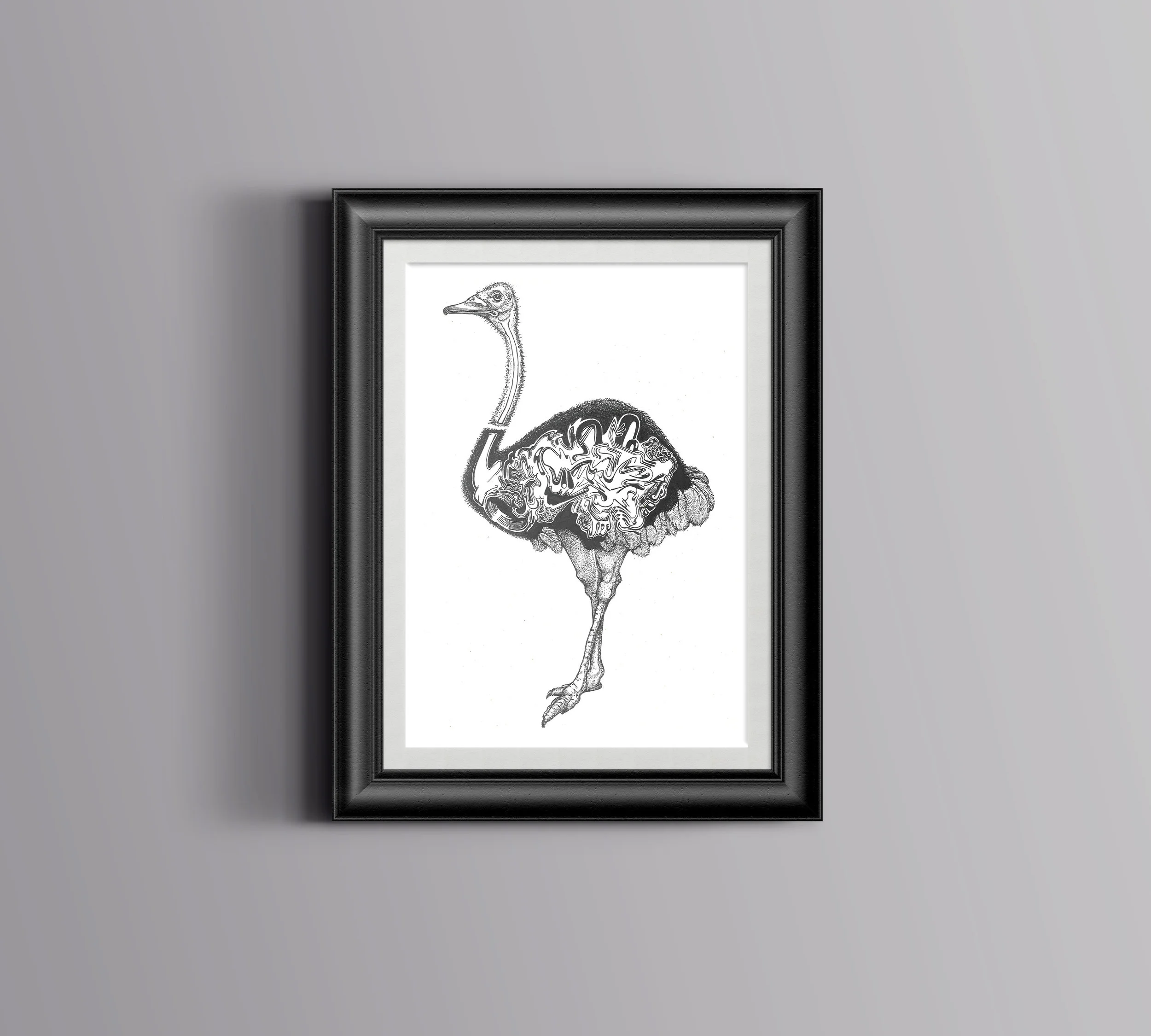 MF-Ostrich-Framed.jpg