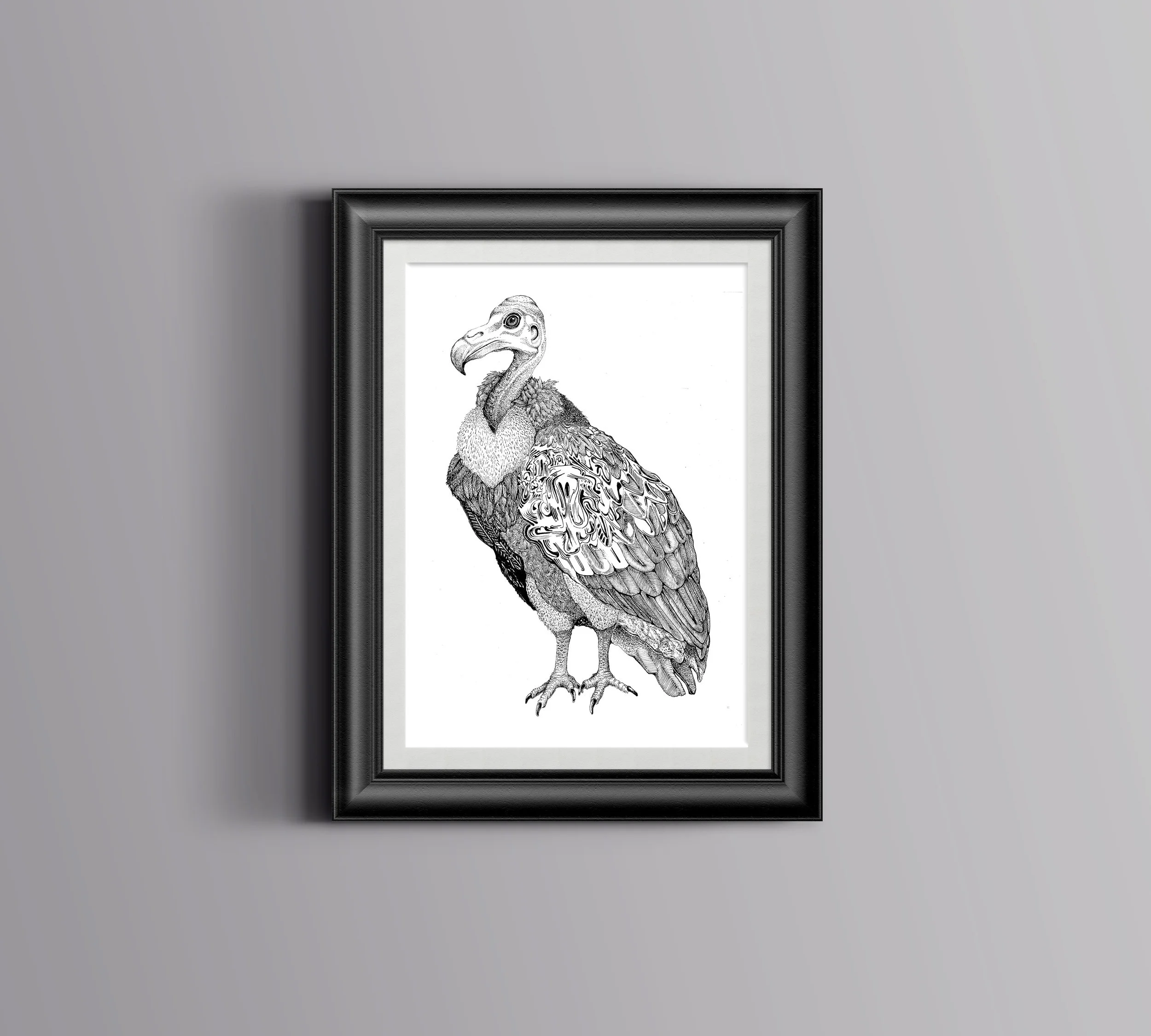 MF-Vulture-Framed.jpg