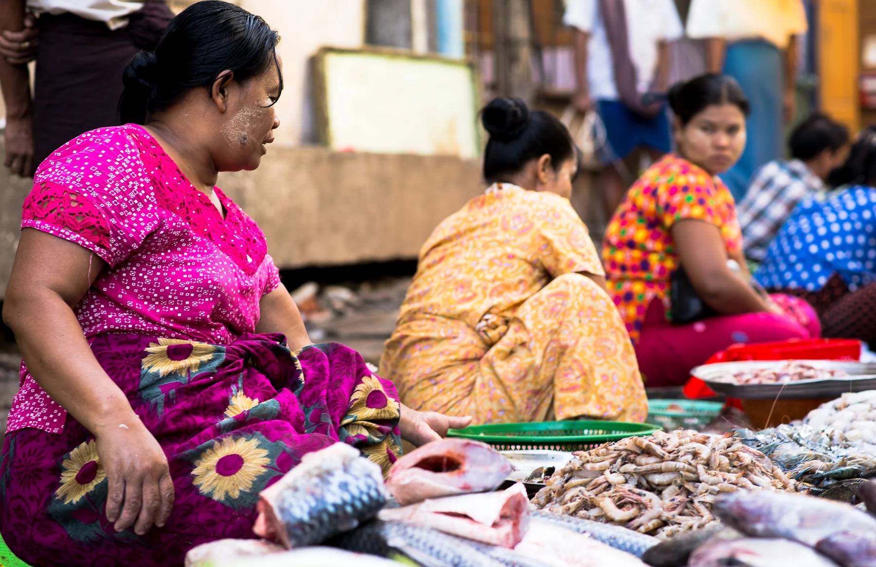 Fish for sale in the market.  Yangon, Myanmar