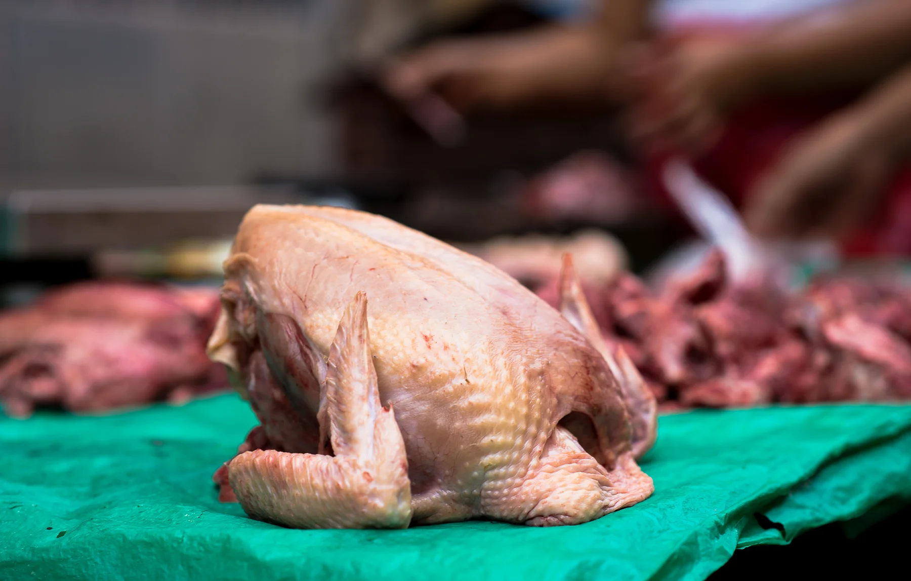 Yup, that's a chicken for sale, along with some other random meat.  Yangon, Myanmar