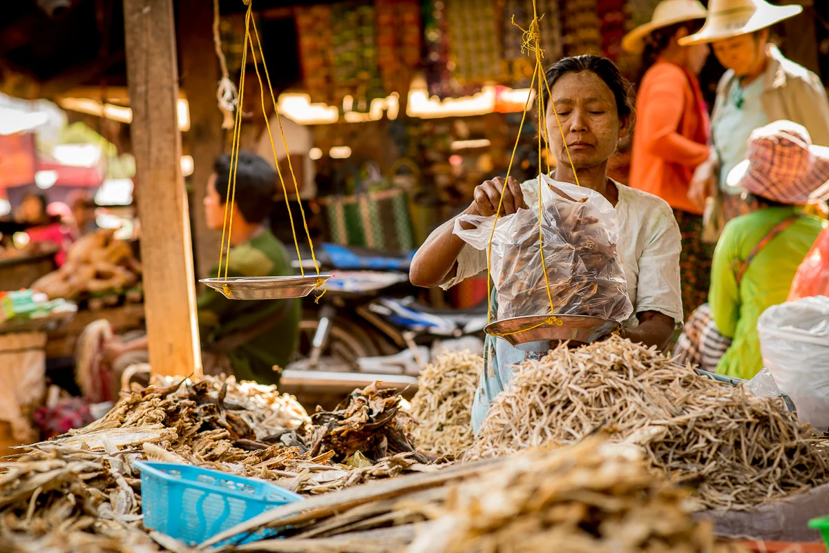 Dried fish for sale. Inle Lake, Myanmar