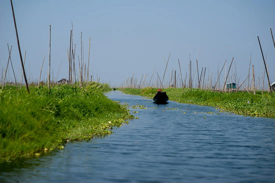 Making our way through a floating garden. Inle Lake, Myanmar