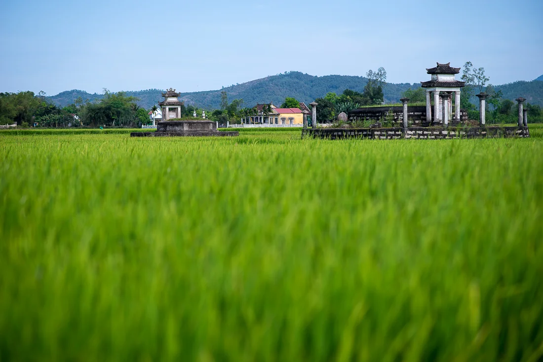 Rice paddies and grave sites. Hoi An, Vietnam