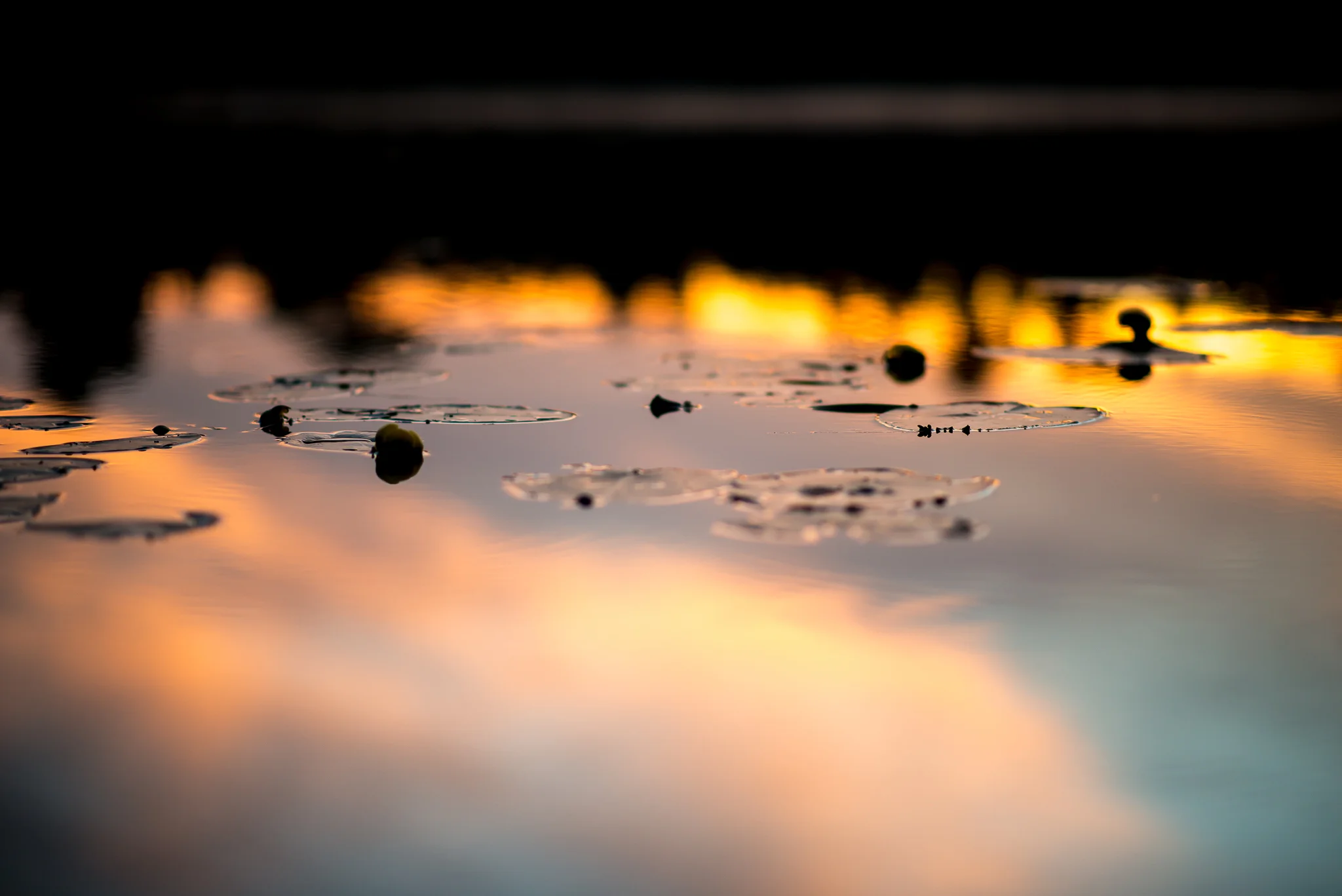 Sunset reflection on the lake. Our last sunset on Cross Bay Lake, and of the trip.