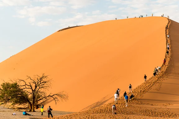 Climbing Dune 45. I'm definitely not alone in the desert anymore.