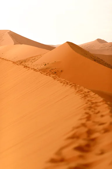 The top of Dune 45