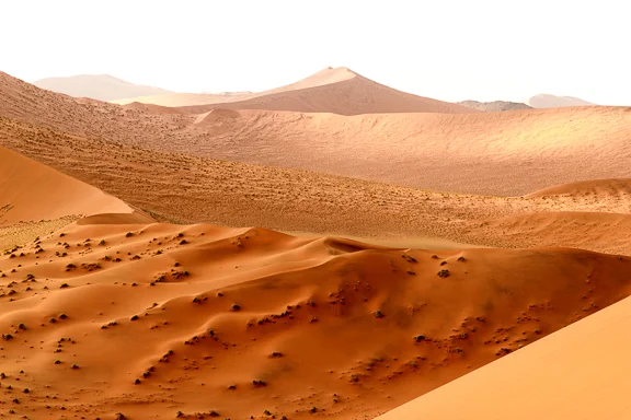 View from the top of Dune 45