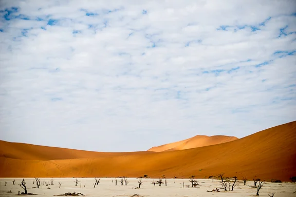 Dead Vlei