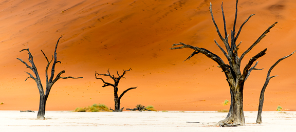 Dead Vlei