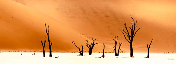 Dead Vlei
