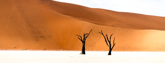 Dead Vlei