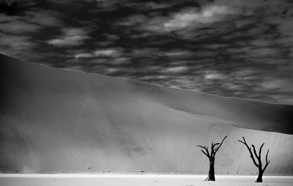 Dead Vlei