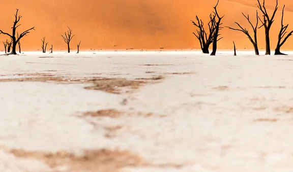 Dead Vlei