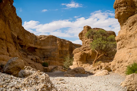 Sesriem Canyon