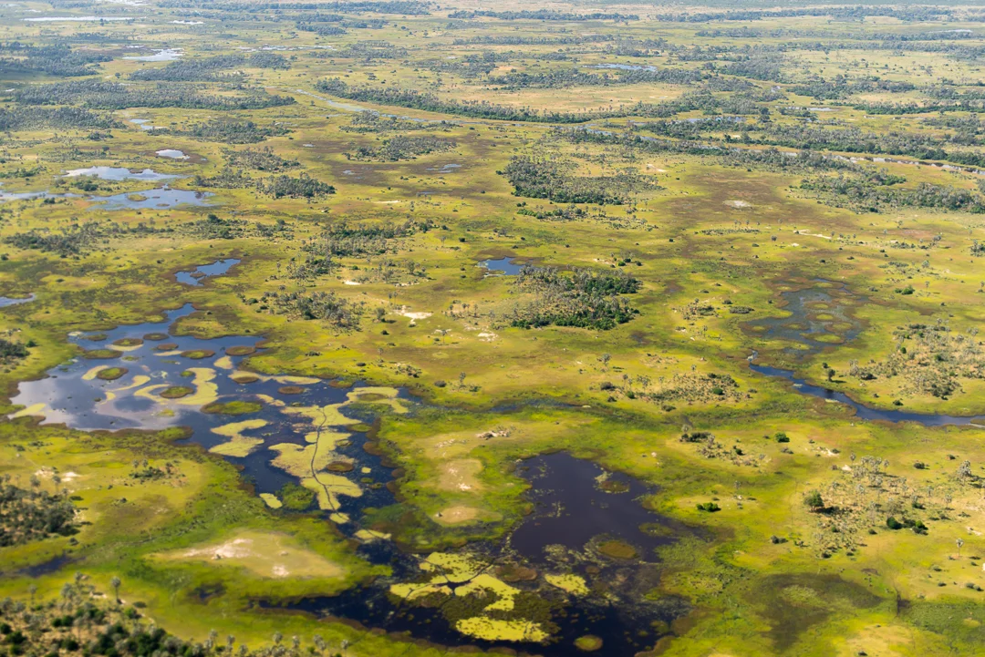 The Okovango Delta