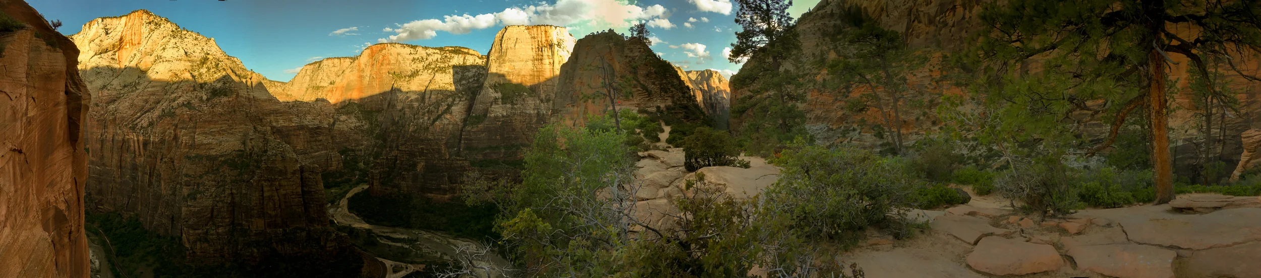 Zion National Park Panorama