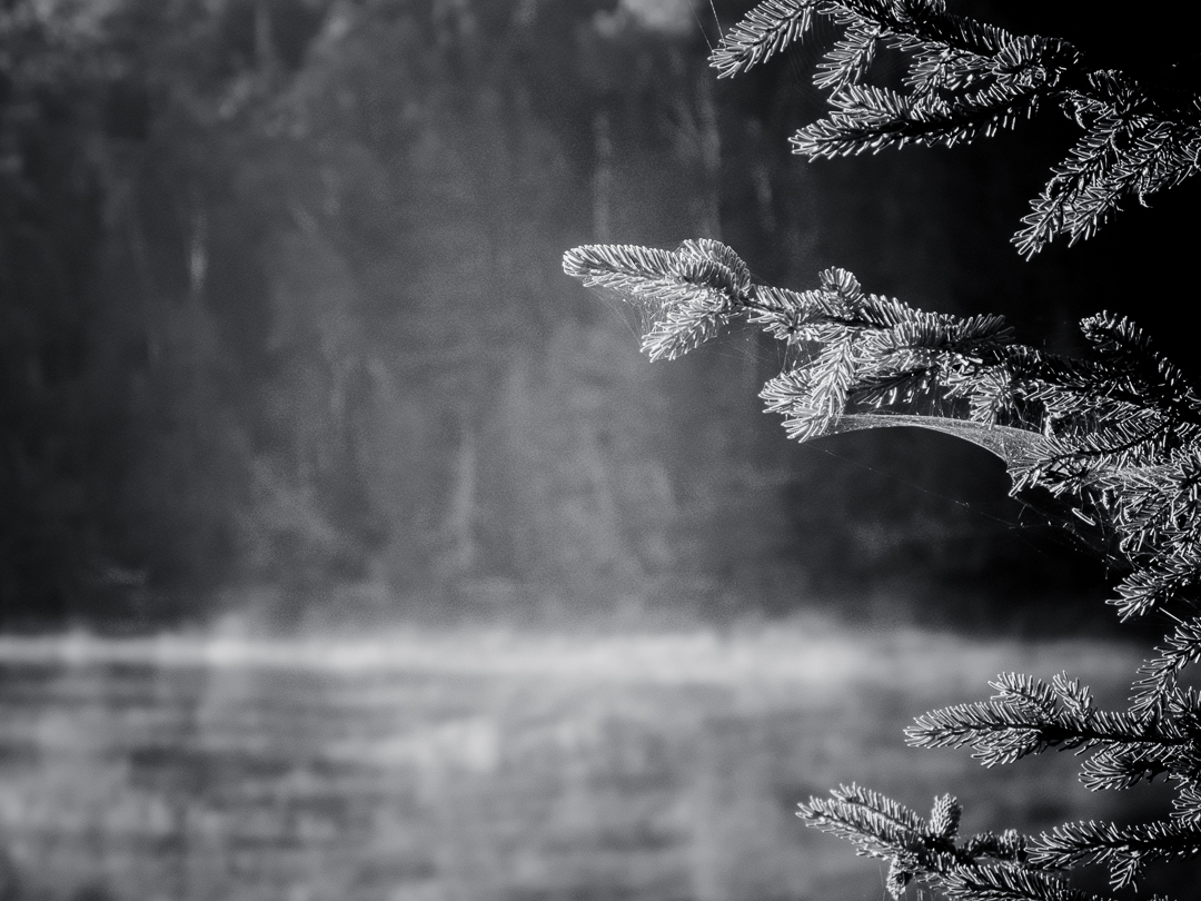 Morning Fog On Crooked Lake...BWCA