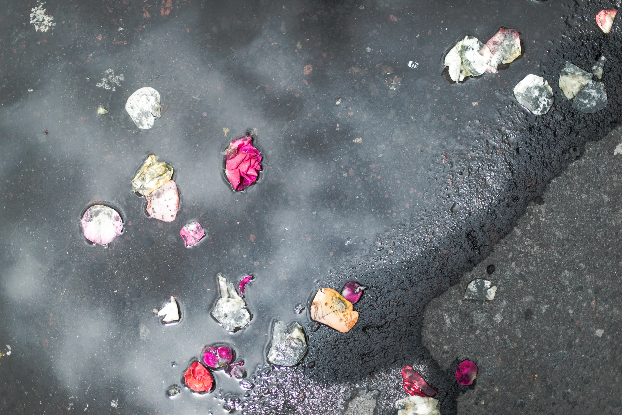 Rose petals after a religious procession...Old Town, Quito