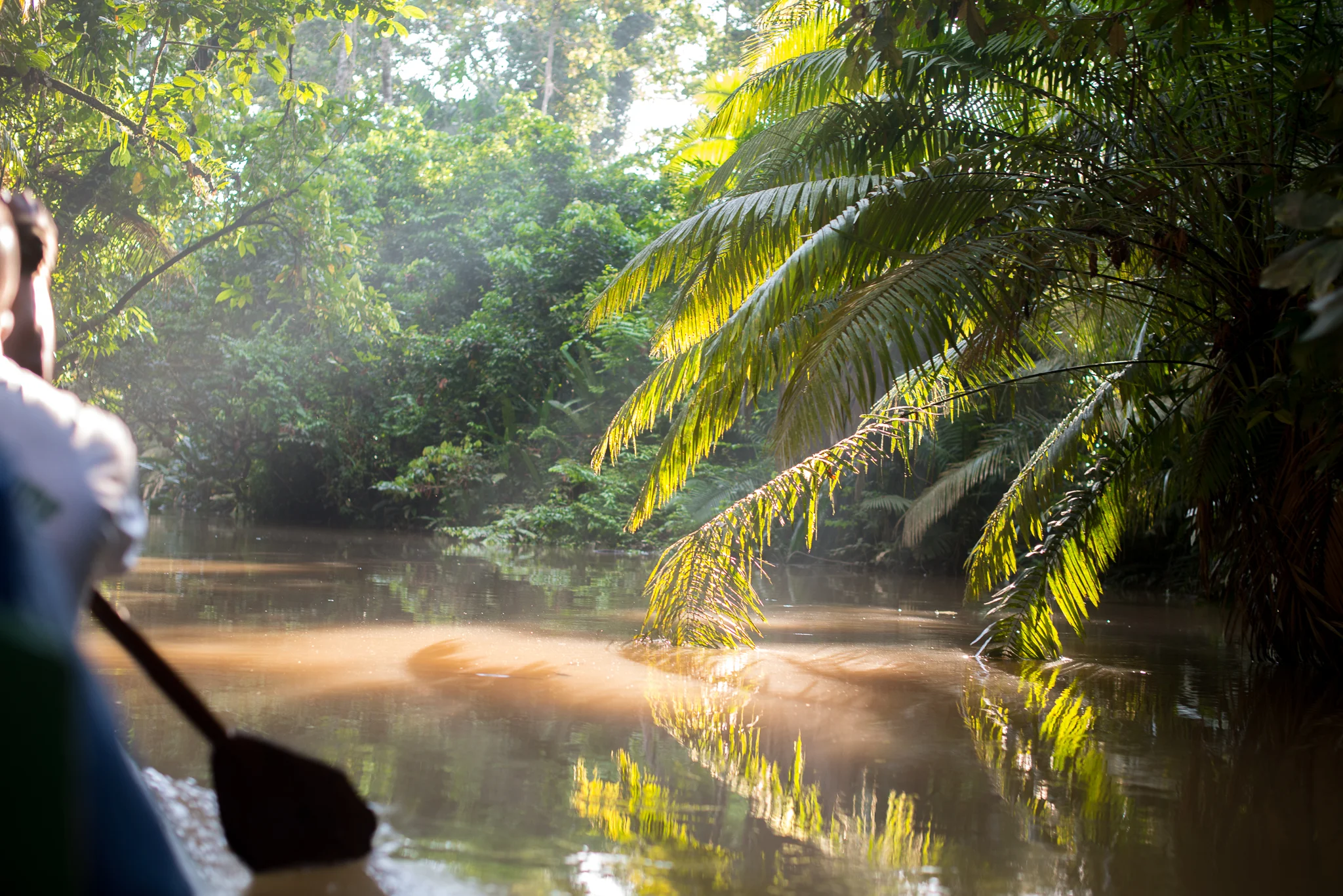Paddling through the Amazon...