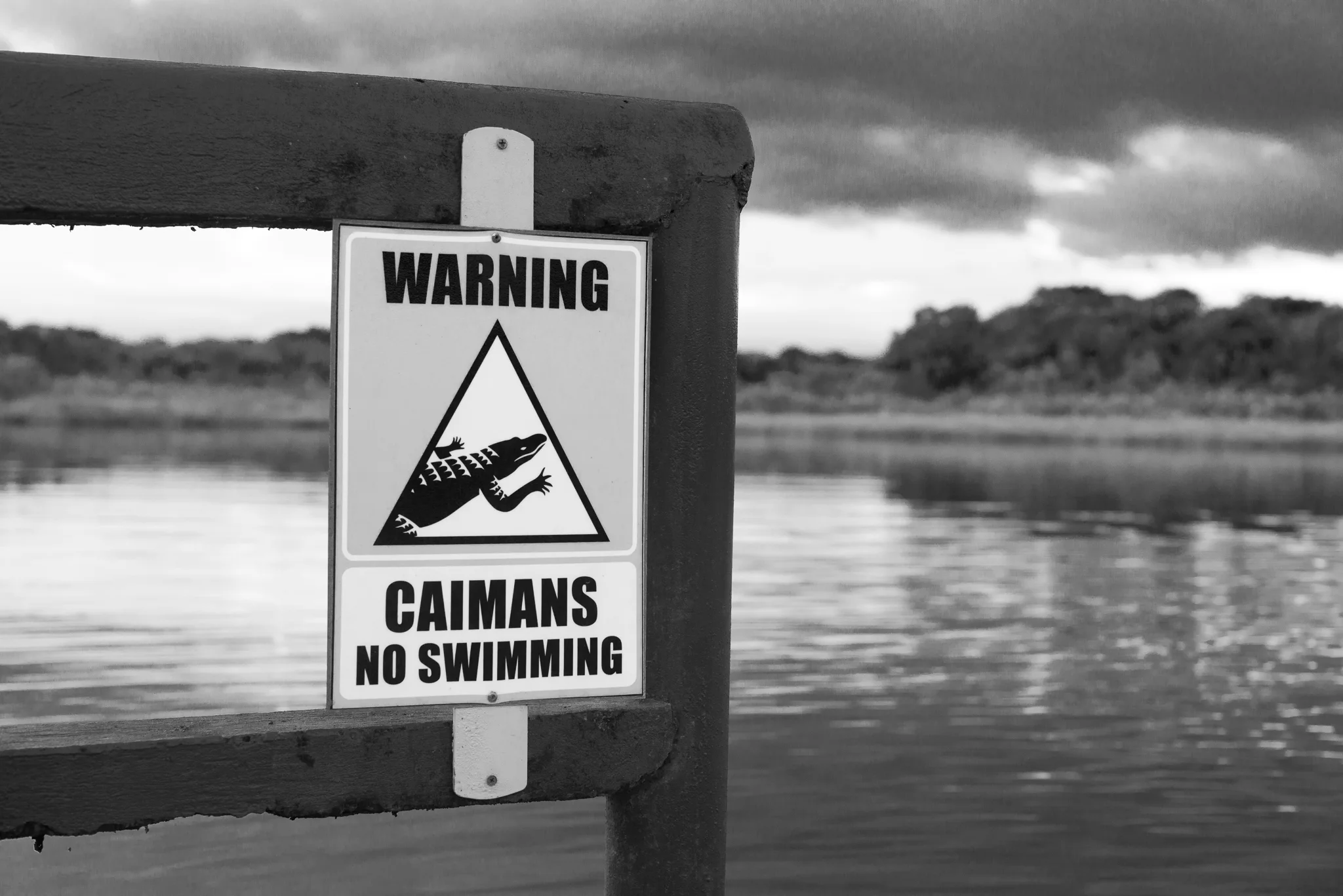 No Swimming!!