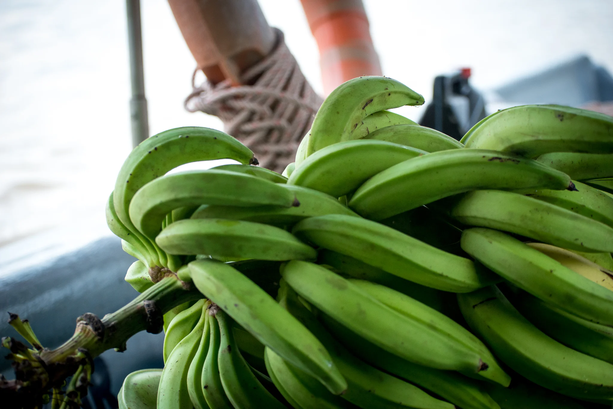 Transporting plantains on one of our boat trips...
