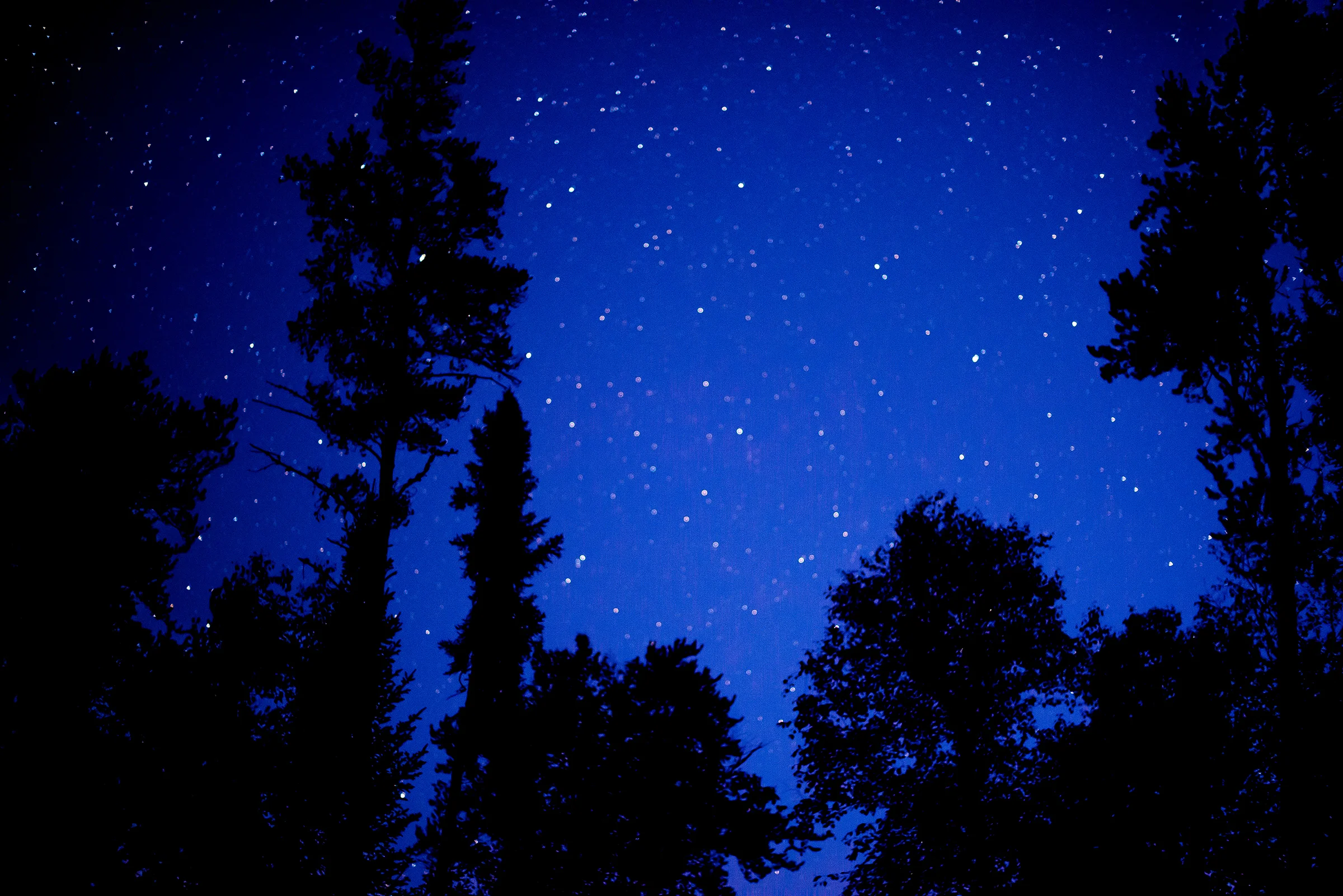 Star Photos On Cherry Lake...