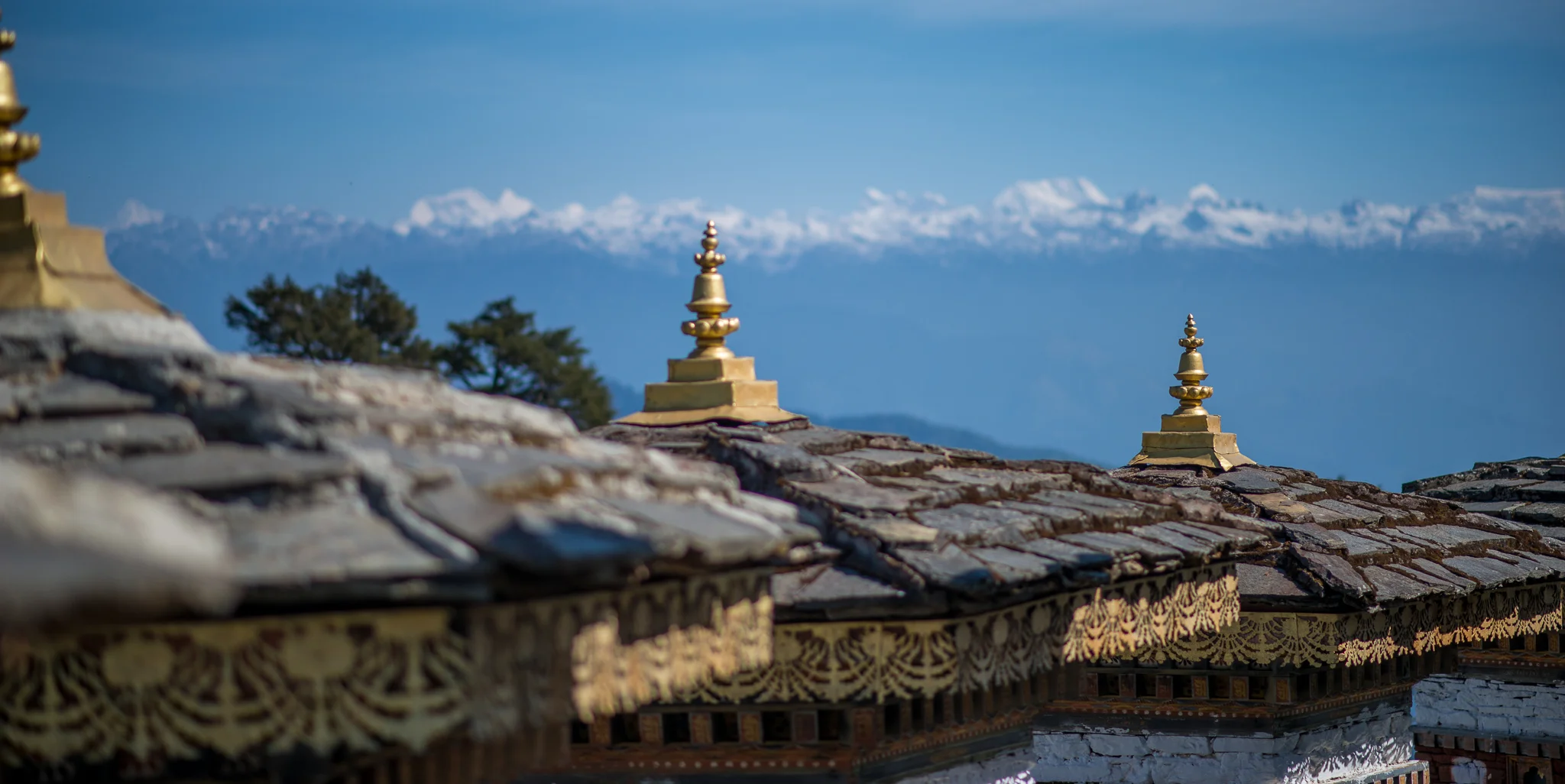 18March_Punakha Day 2_1258.jpg