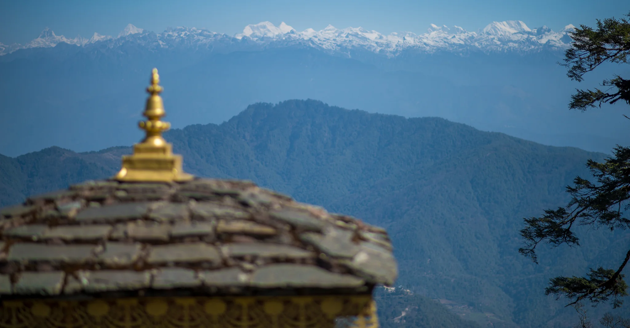 18March_Punakha Day 2_1269.jpg