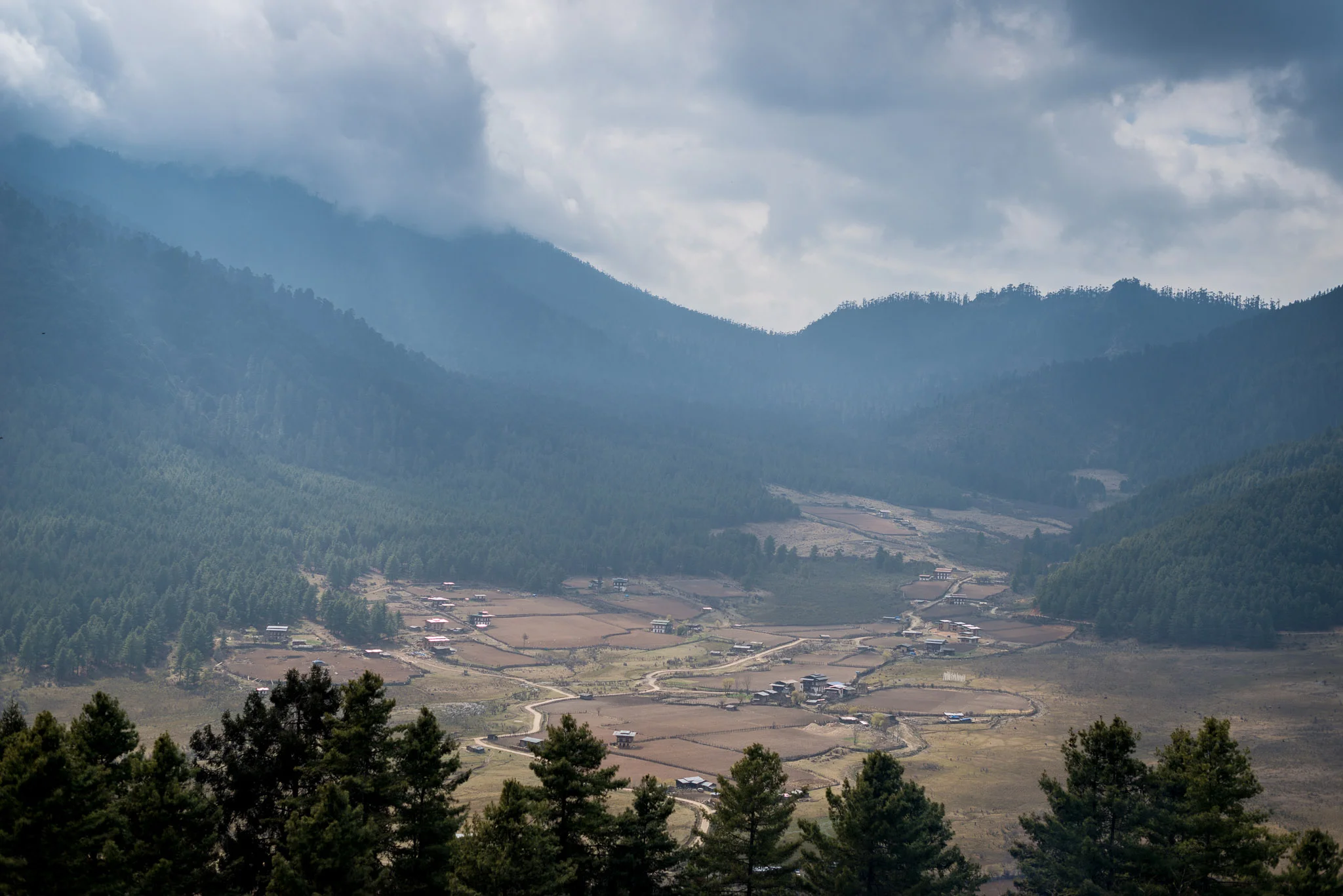 18March_Bhutan Gangtey Day 3_1360.jpg