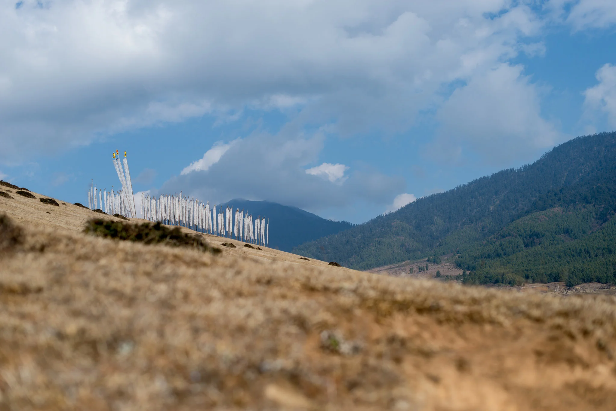 18March_Bhutan Gangtey Day 3_1394.jpg