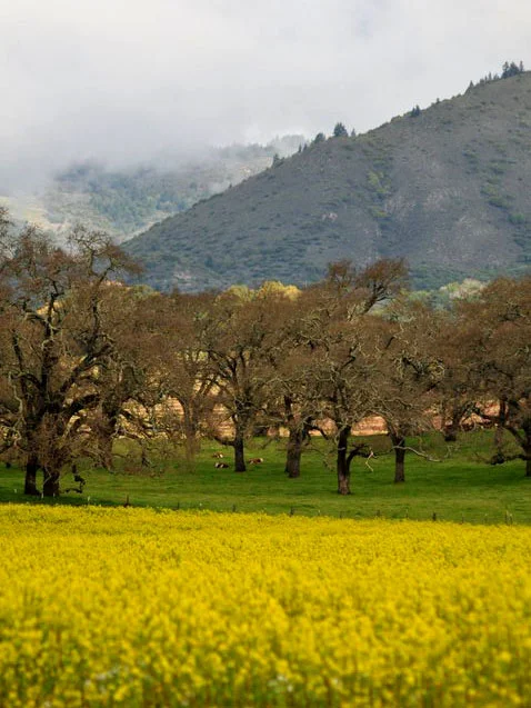 Scenic and Nature_001.JPG