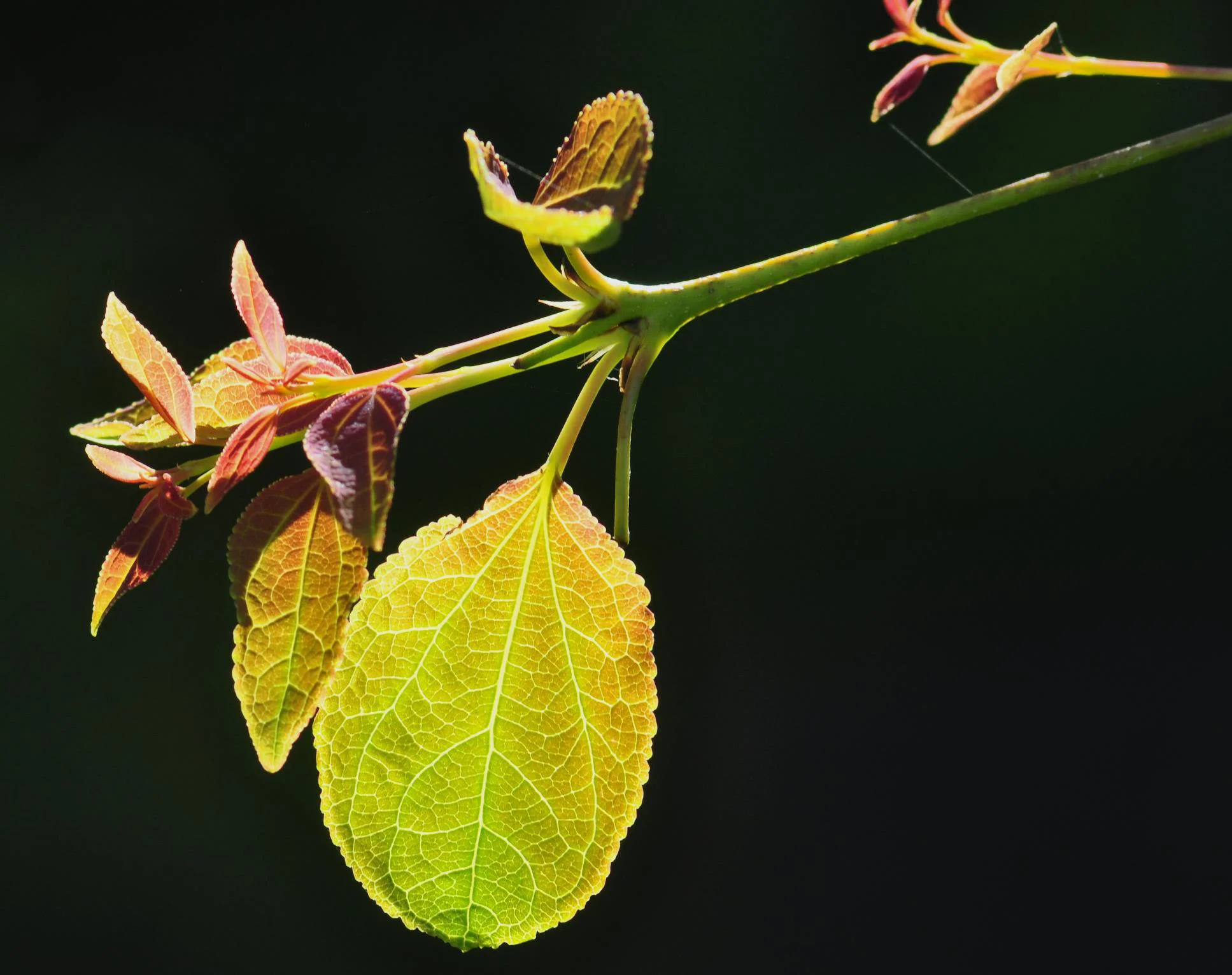 Scenic and Nature_003.JPG