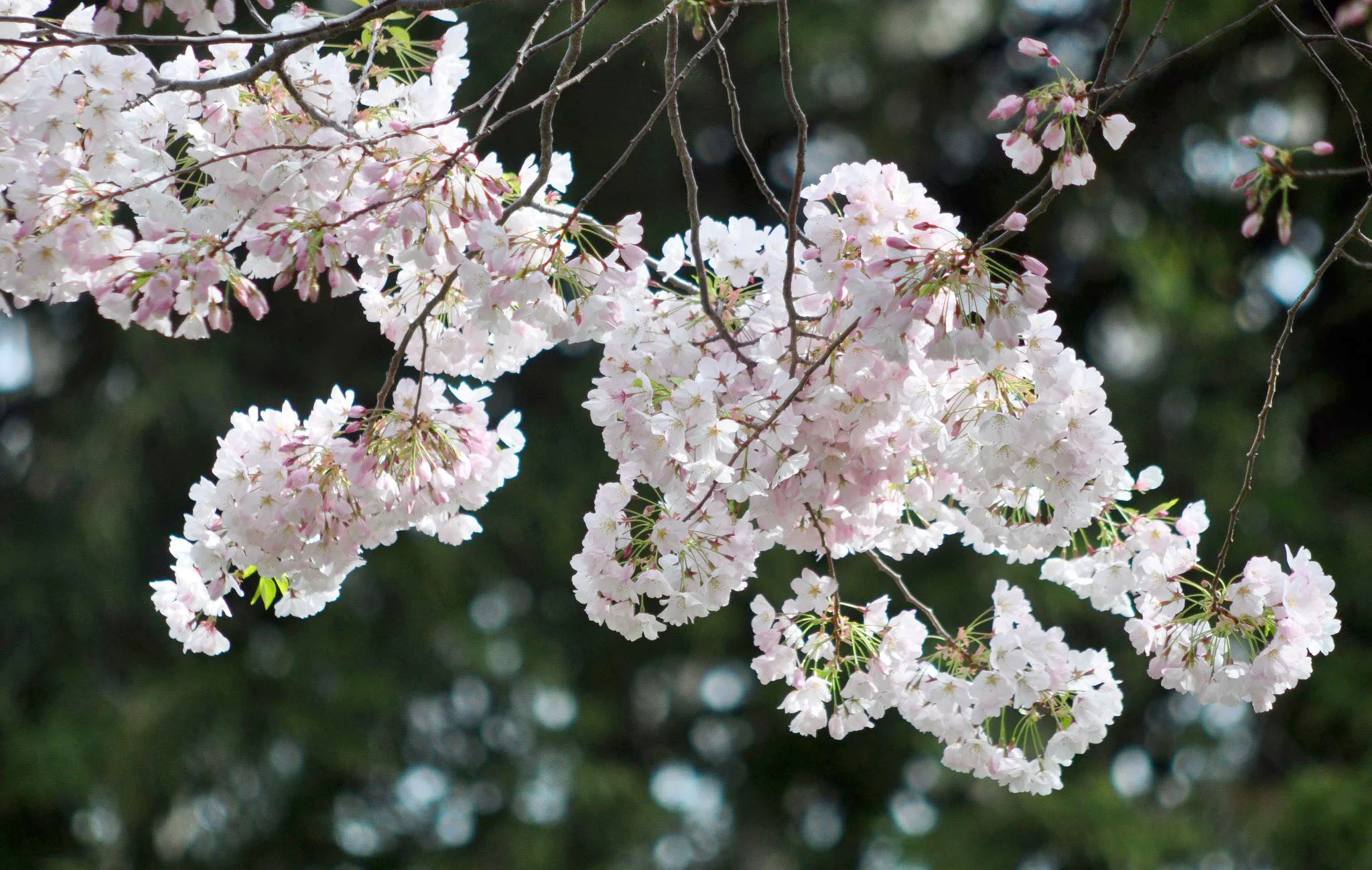 Scenic and Nature_004.JPG