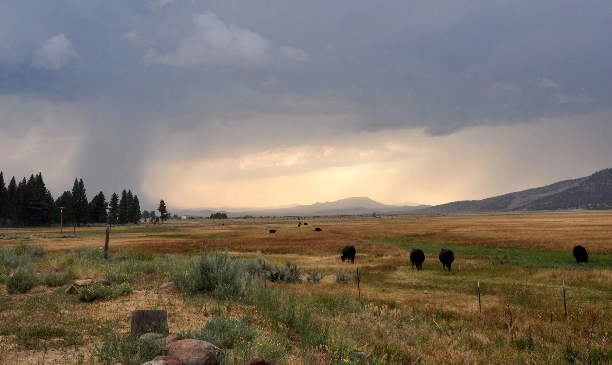 Scenic and Nature_006.JPG