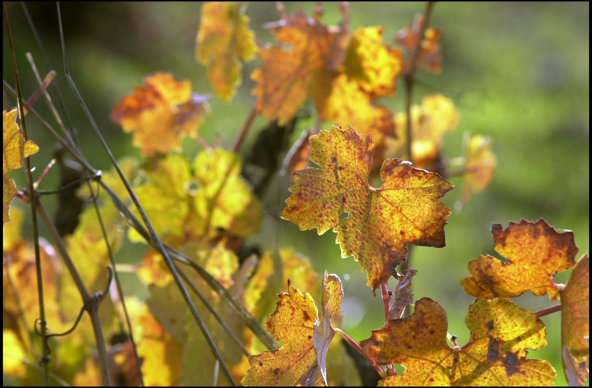 Scenic and Nature_012.JPG