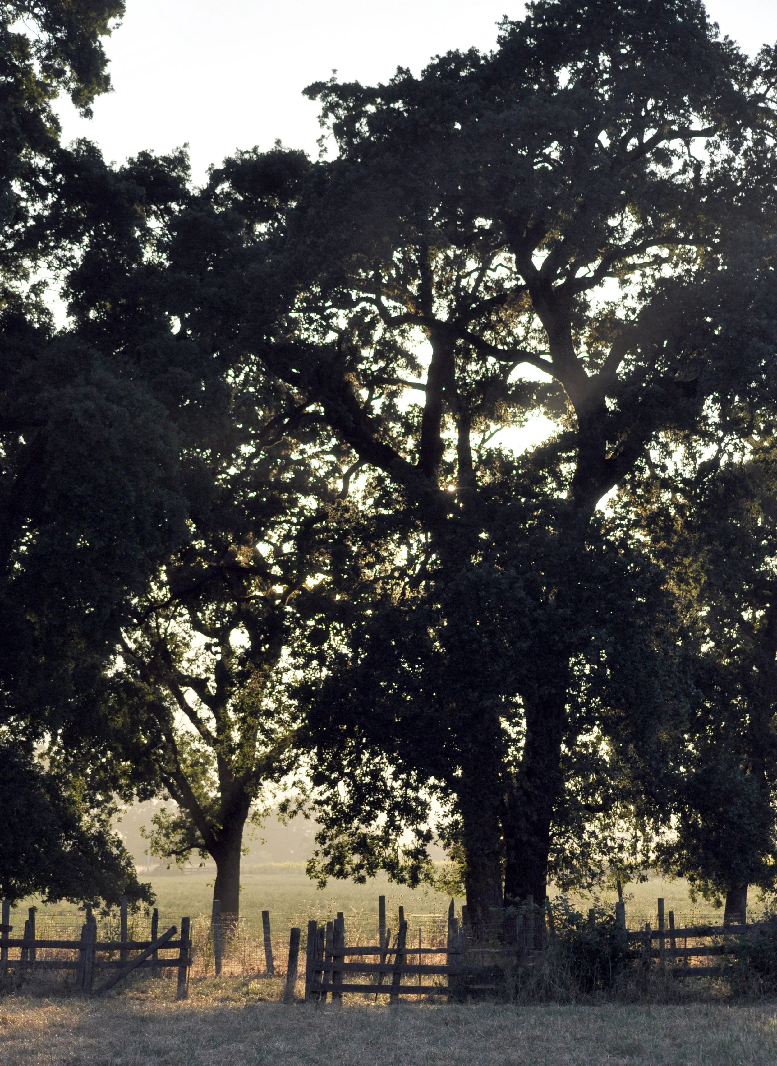 Scenic and Nature_015.JPG