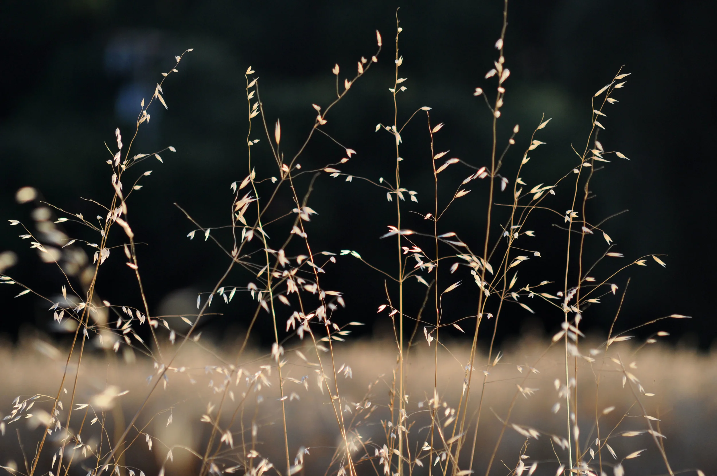 Scenic and Nature_016.JPG