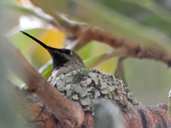 Scenic and Nature_017.JPG