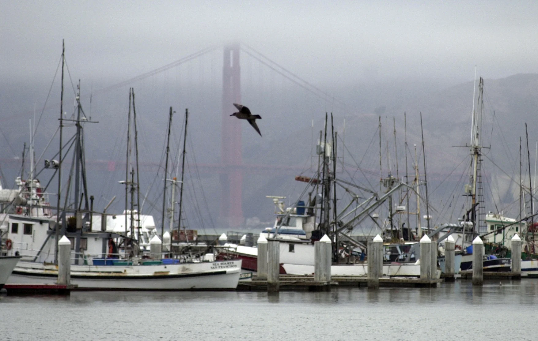 Scenic and Nature_018.JPG