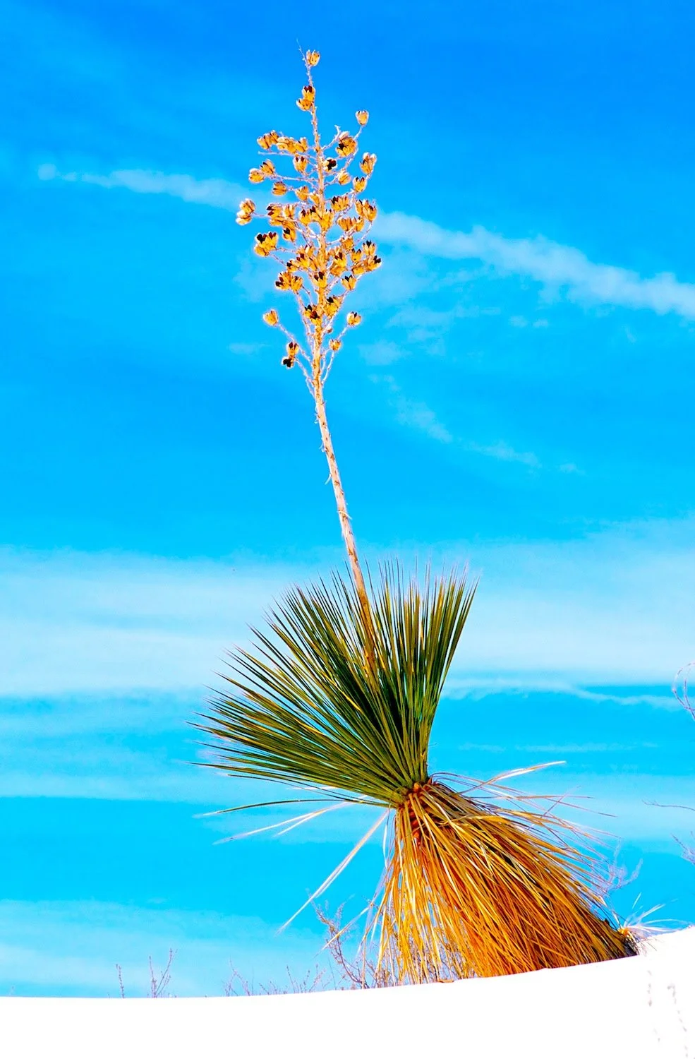 Scenic and Nature_022.1.JPG