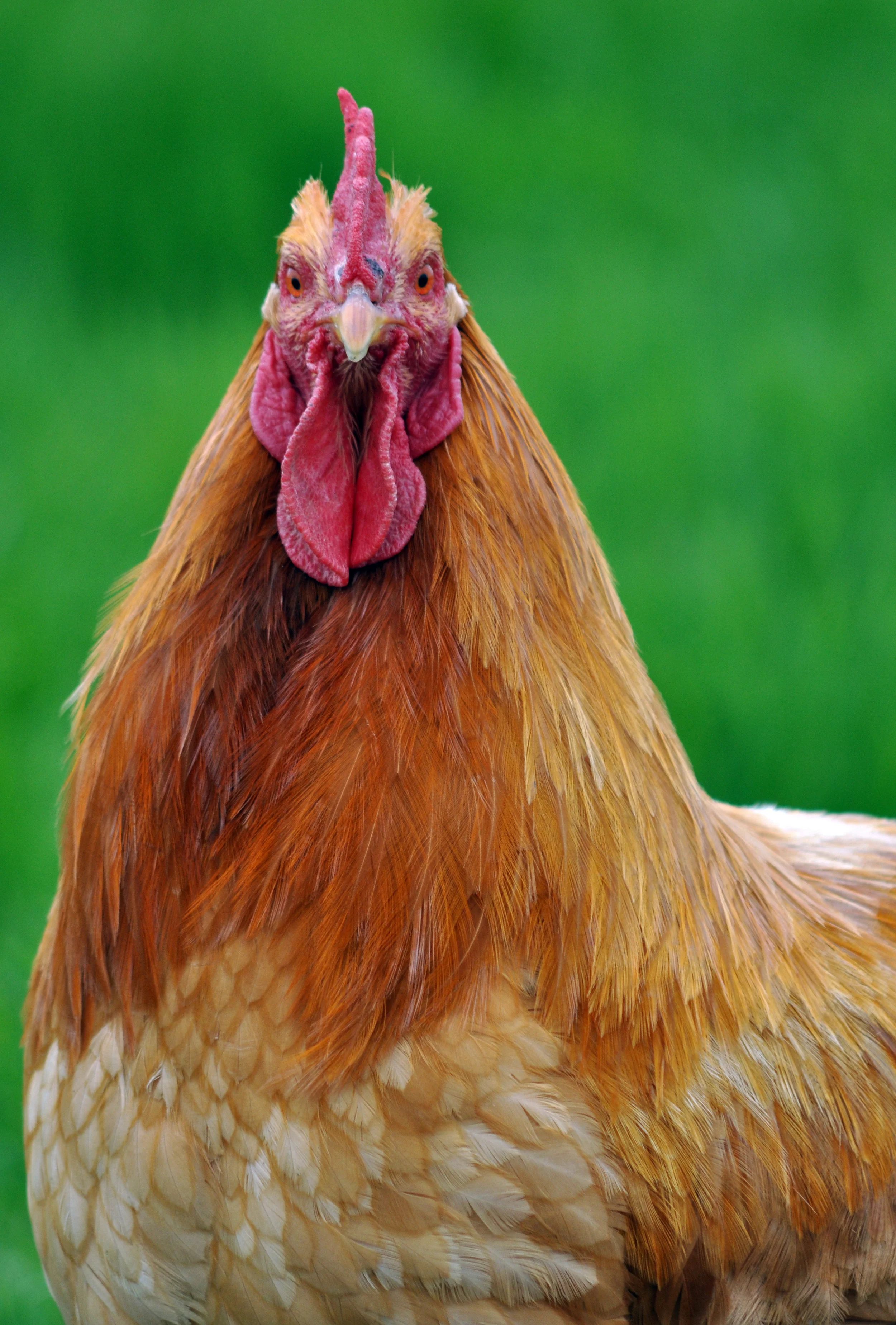 Gallery Selection_008.JPG