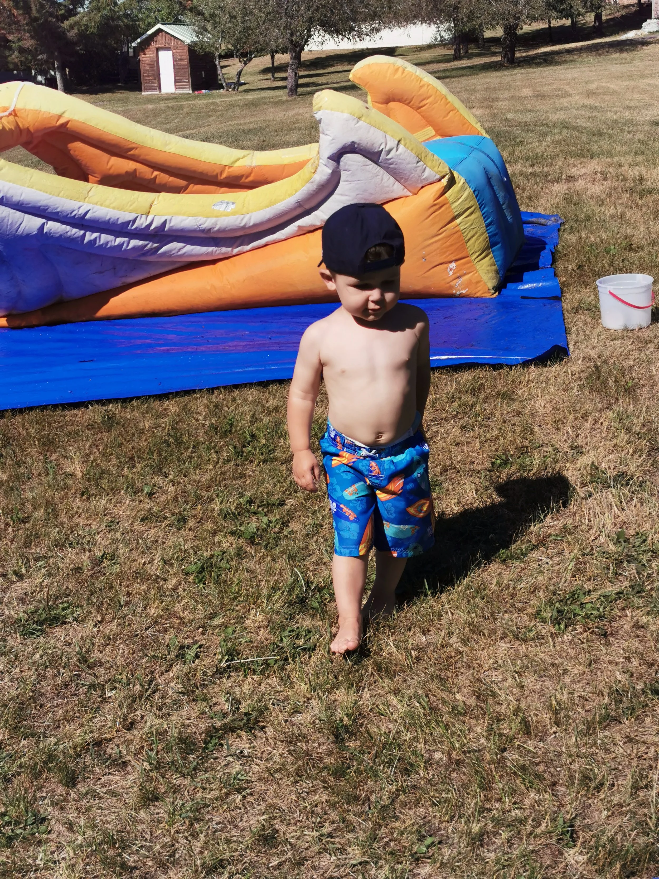 IMG_20190713_170134.jpg
