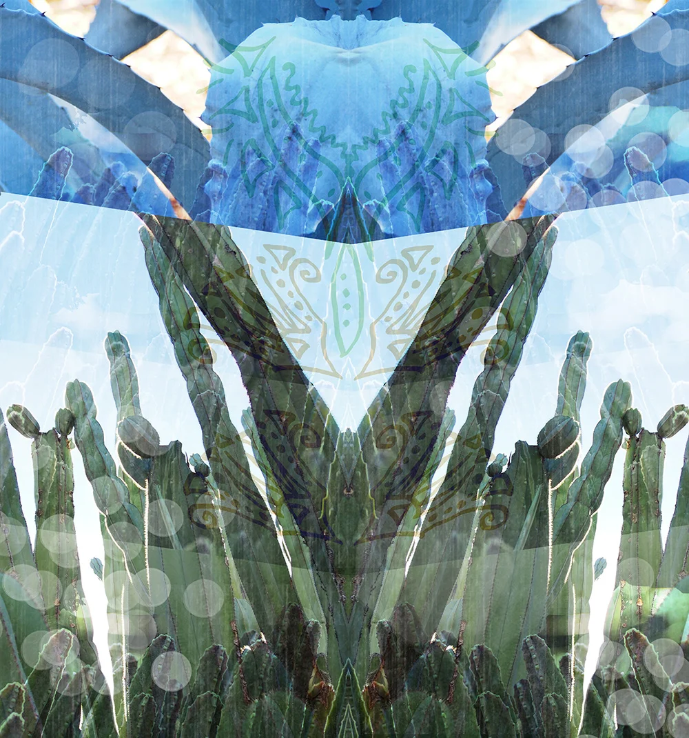 cactus-flare-dress-web.jpg