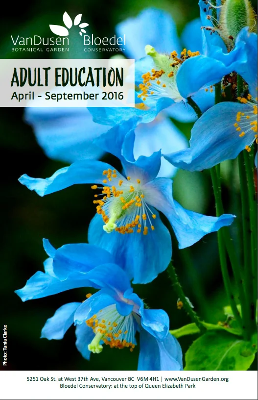 Brochure: Adult Education for the VBGA