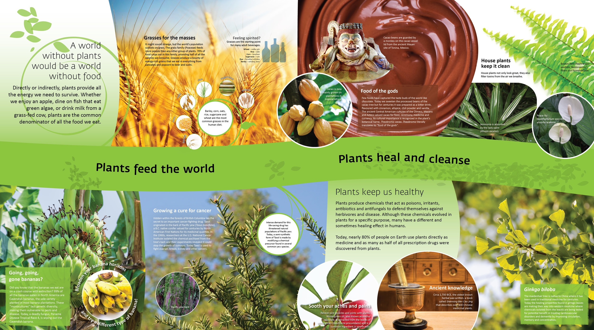 Interpretive Signage, detail: Plants and People at VanDusen Botanical Garden