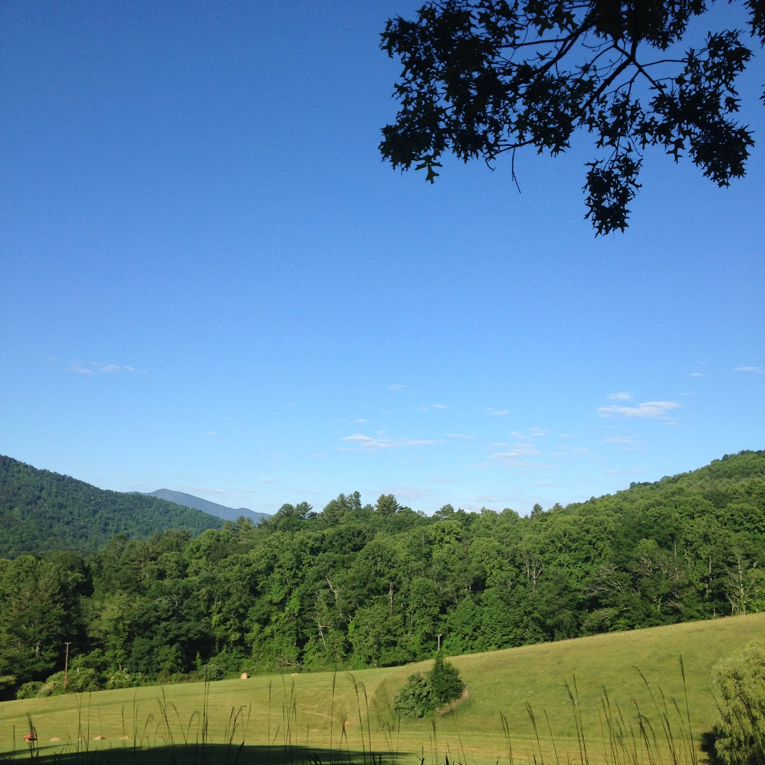 One of Penland’s many majestic vistas.