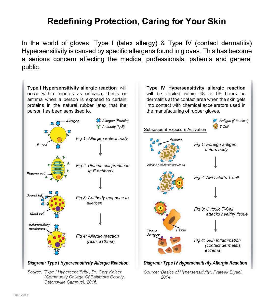 Diagram: Hypersensitivity Skin Reaction Click to Enlarge 