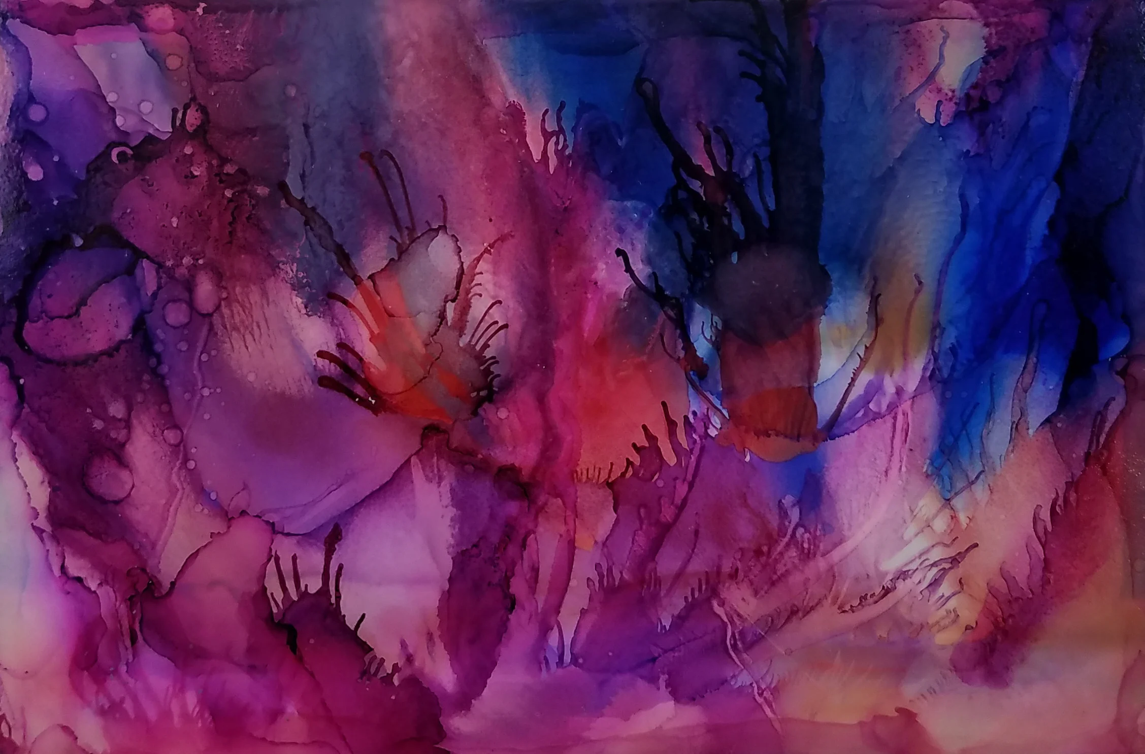Abstract#6