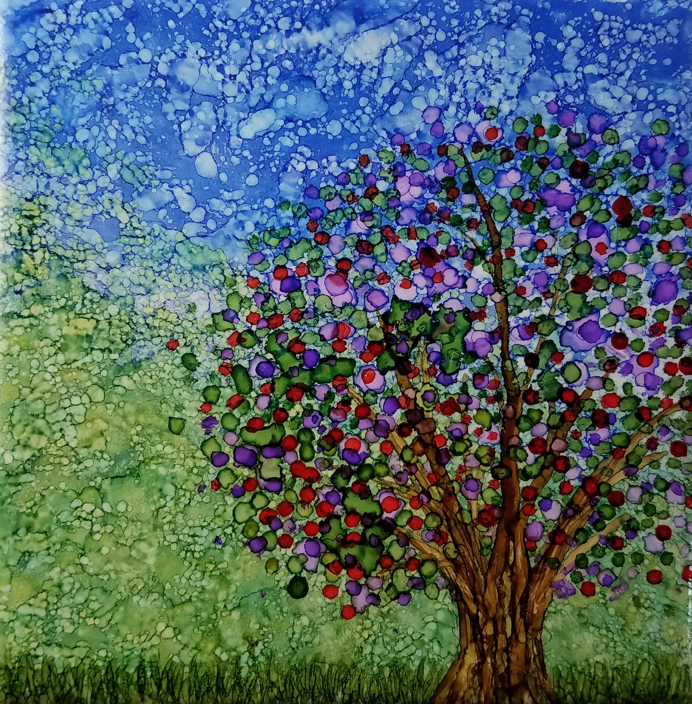 Hopes for Spring