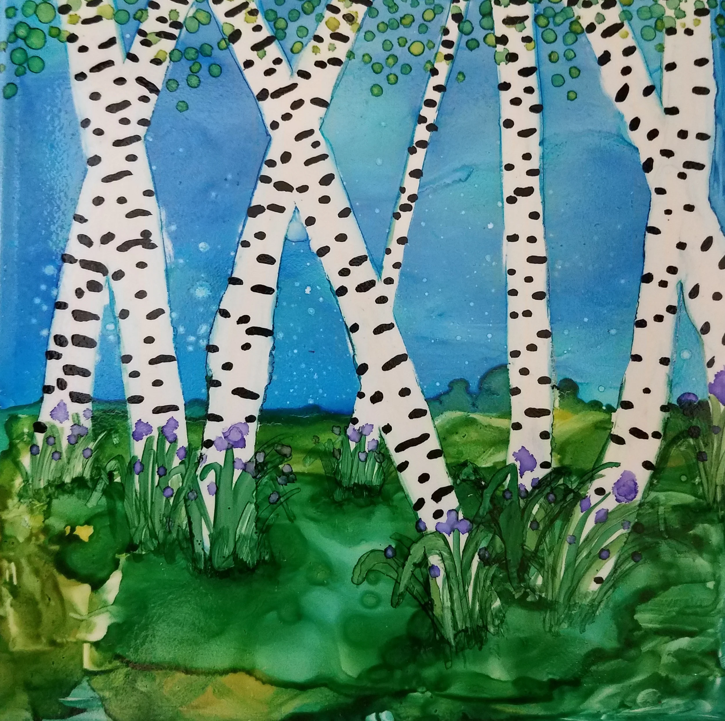 Purple Irises and birch trees